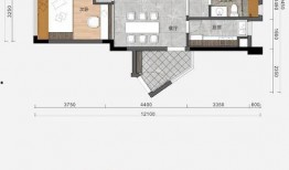 公平镇最新爆料新闻视频,视频揭露惊人真相，引网友热议
